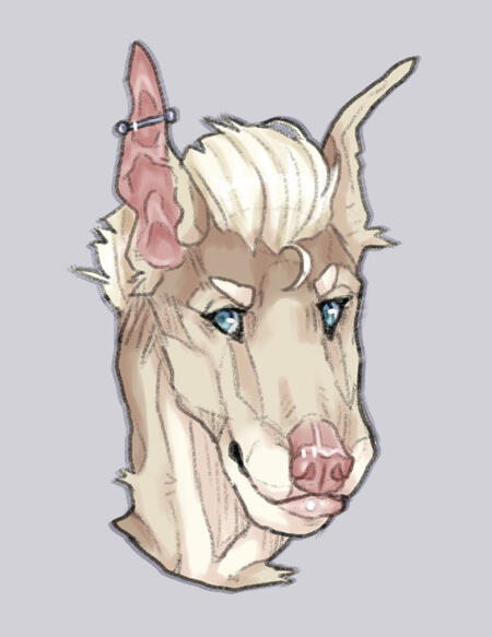 Example of a shaded headshot